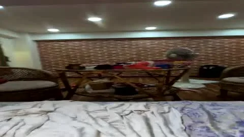 jellynspicy live act